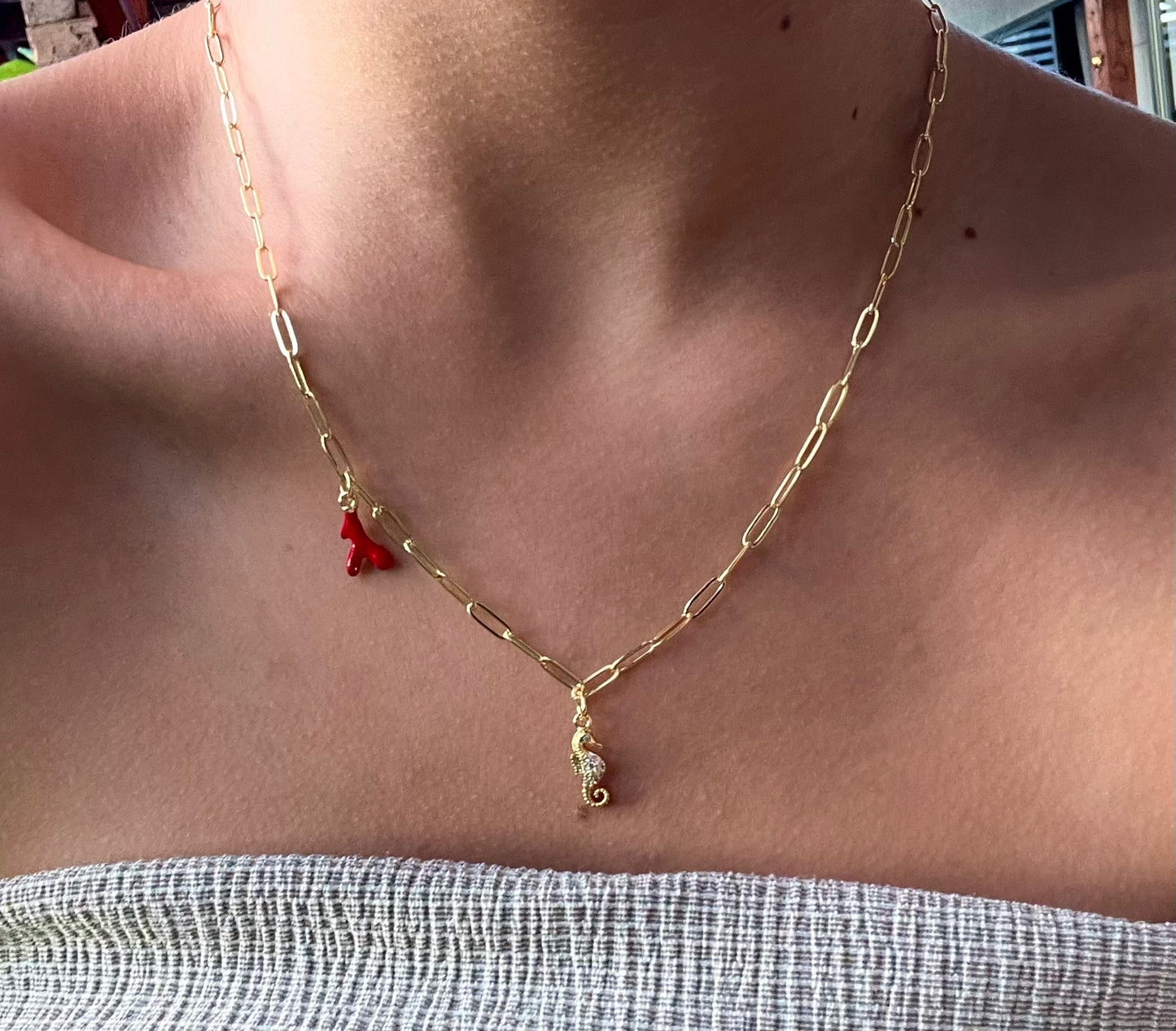 Collar Coral y Caballito de Mar